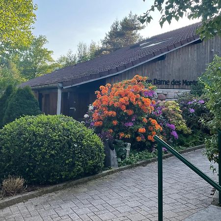 Notre Dame Des Monts Hotel Ban-sur-Meurthe-Clefcy Екстериор снимка