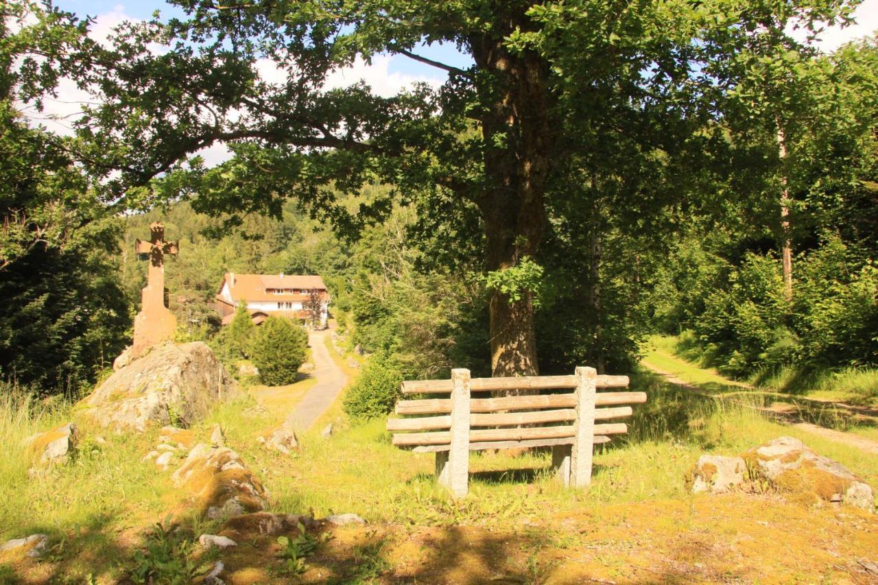 Notre Dame Des Monts Hotel Ban-sur-Meurthe-Clefcy Екстериор снимка