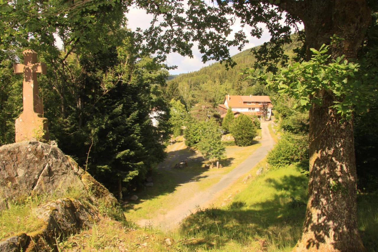Notre Dame Des Monts Hotel Ban-sur-Meurthe-Clefcy Екстериор снимка