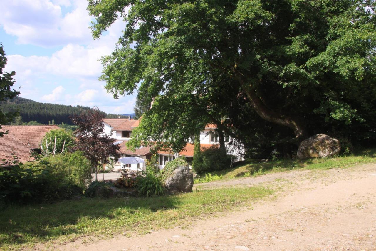 Notre Dame Des Monts Hotel Ban-sur-Meurthe-Clefcy Екстериор снимка