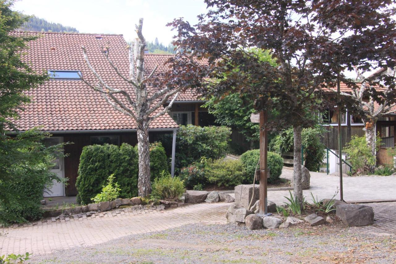 Notre Dame Des Monts Hotel Ban-sur-Meurthe-Clefcy Екстериор снимка