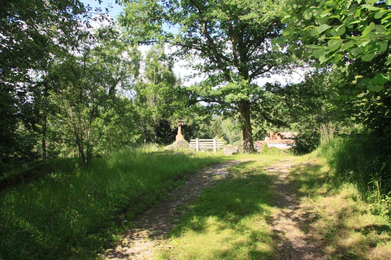 Notre Dame Des Monts Hotel Ban-sur-Meurthe-Clefcy Екстериор снимка