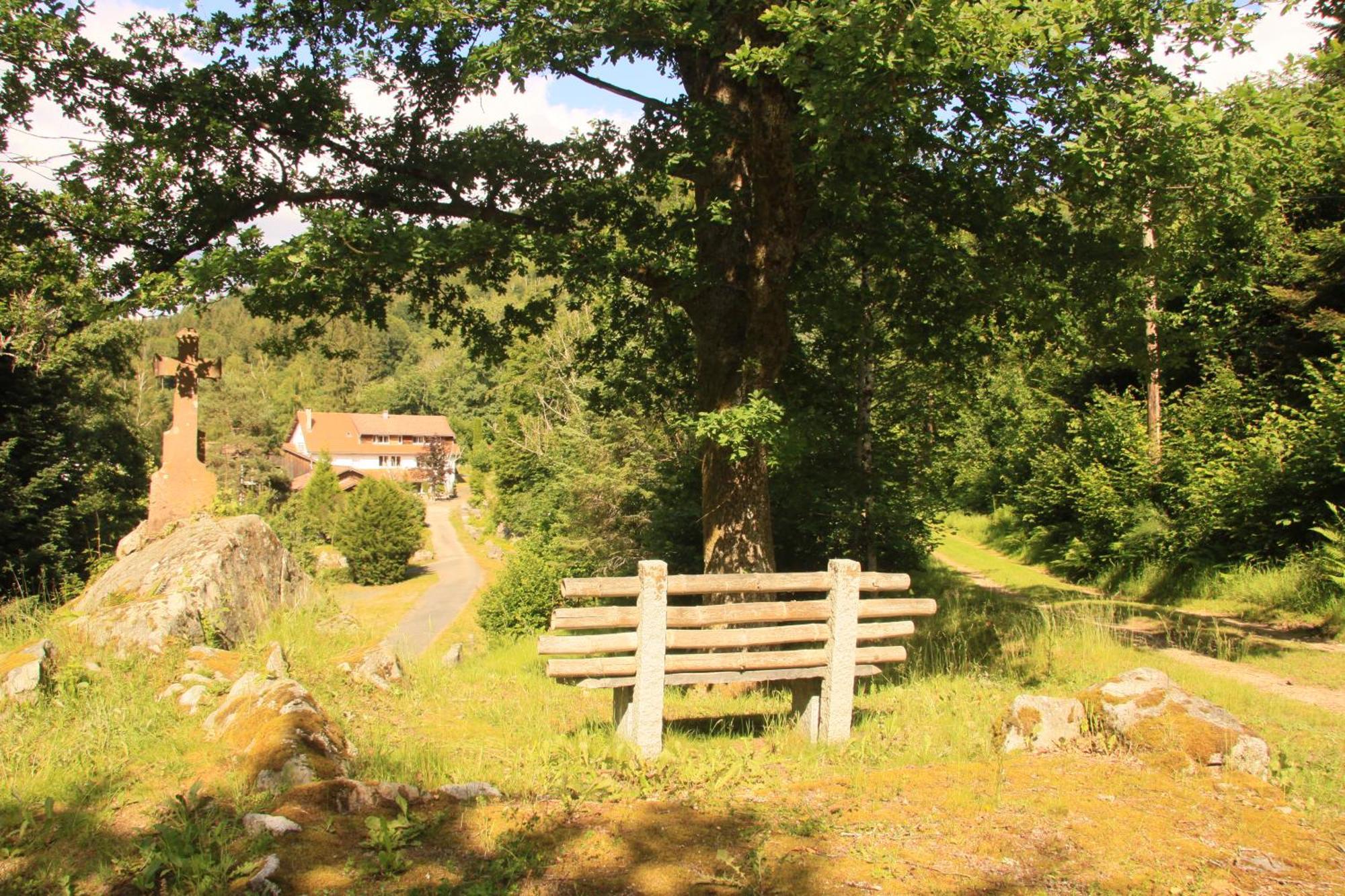 Notre Dame Des Monts Hotel Ban-sur-Meurthe-Clefcy Екстериор снимка